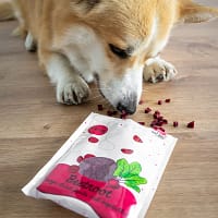 28-2 Lio PEPE Frysetørret Rødbede – Naturligt tilskudsfoder til hunde Vægt: 25 g