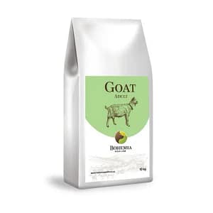 BOHEMIA WILD – Adult Goat (Ged)