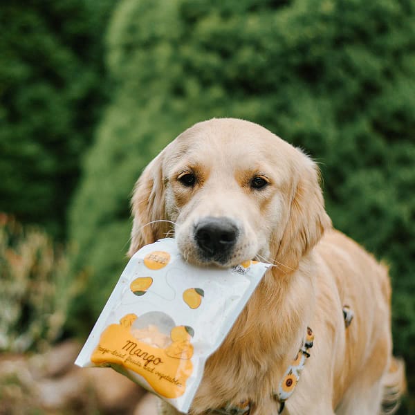 40 Lio PEPE Frysetørret Mango – Naturligt tilskudsfoder til hunde Vægt: 20 g