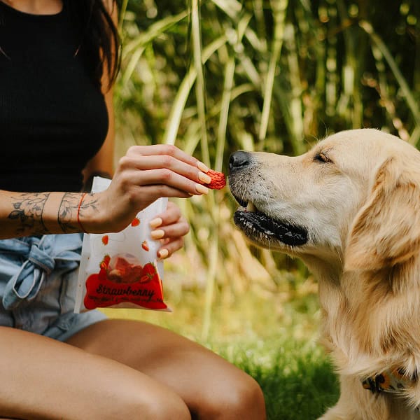5906638169155 - Strawberry (truskawka) Lio PEPE Frysetørret Jordbær – Naturligt tilskudsfoder til hunde Vægt: 20 g